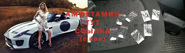 сатива Беломорск