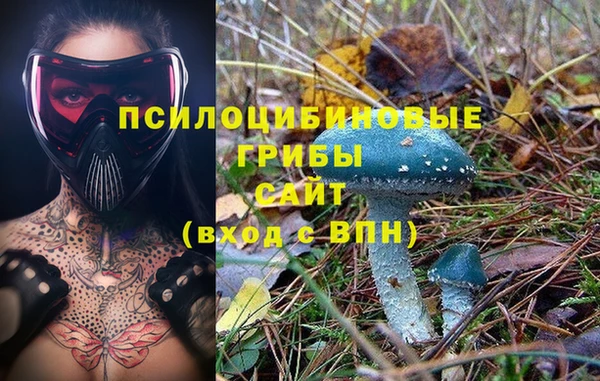 ECSTASY Белоозёрский
