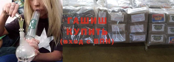 сатива Беломорск