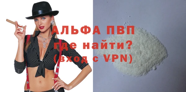 сатива Беломорск