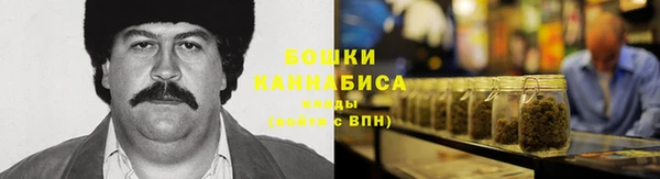 сатива Беломорск