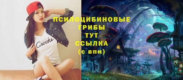 прущая мука Белокуриха